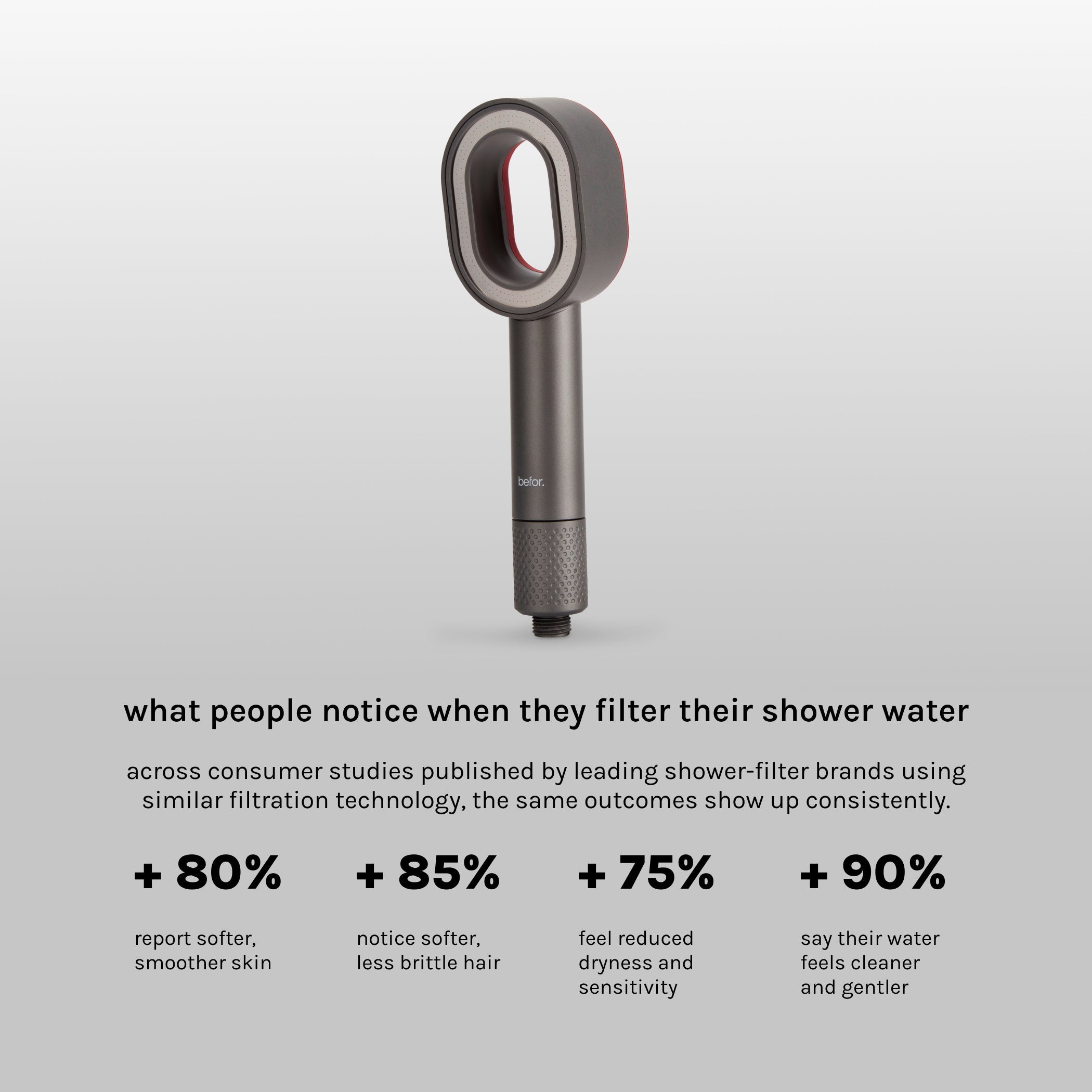 flex. handheld filtered showerhead - befor.