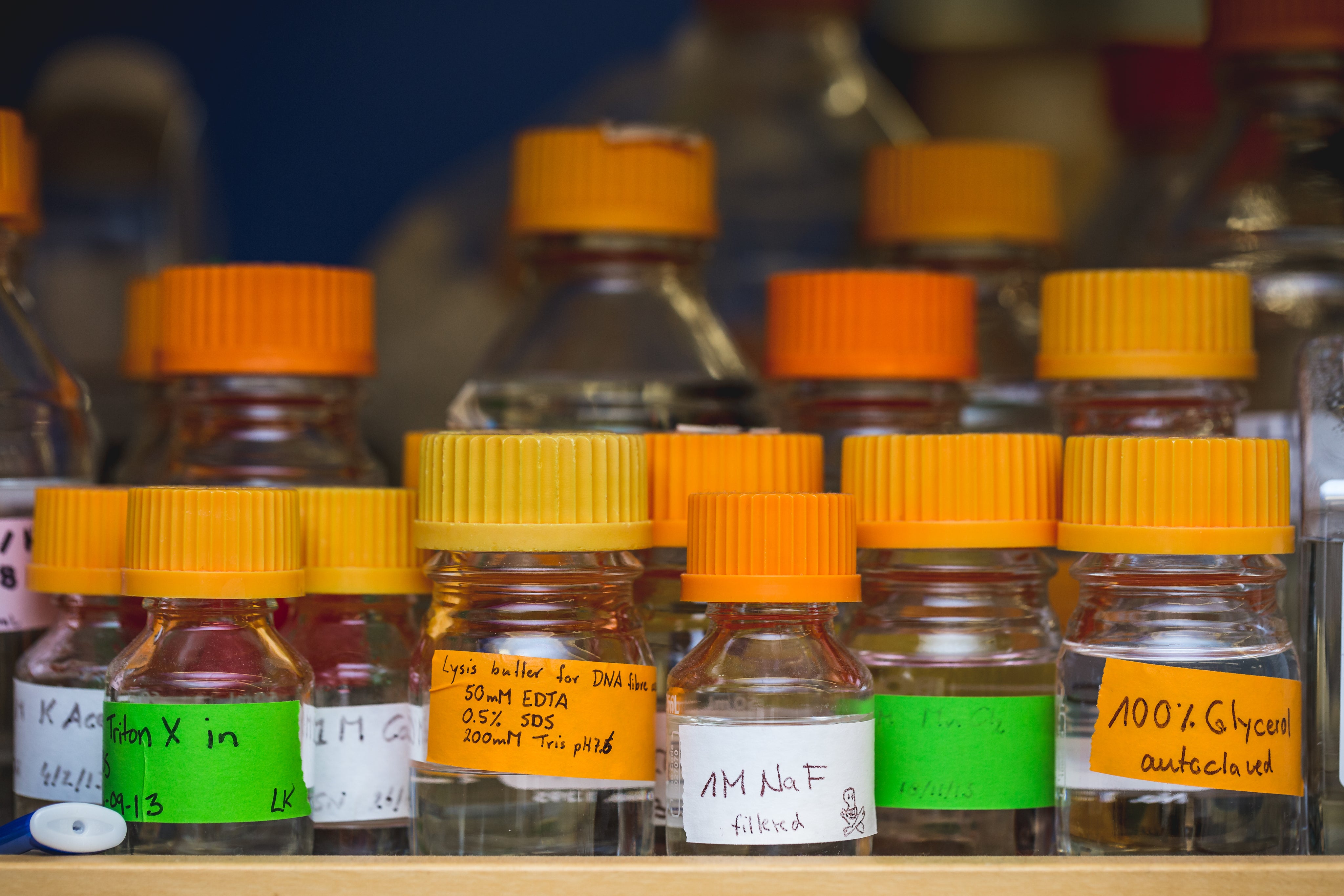 science lab with chemical bottles